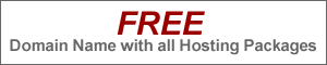 Free Domain Name with every hosting package
